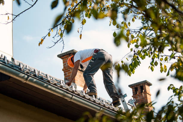 Residential Roof Replacement in Paris, TN