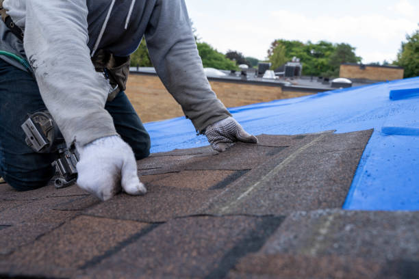 Best Best Roofing Contractors  in Paris, TN