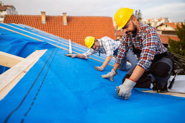 Best Roof Gutter Cleaning  in Paris, TN