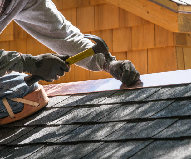 Best Flat Roof Repair Services  in Paris, TN